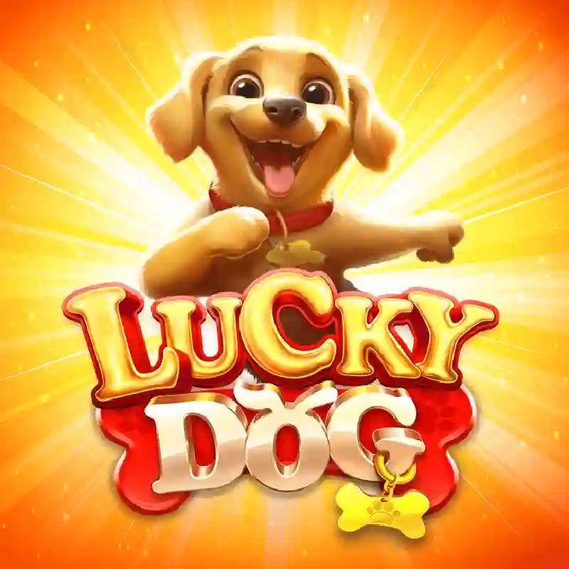 Lucky Dog Casino Online México